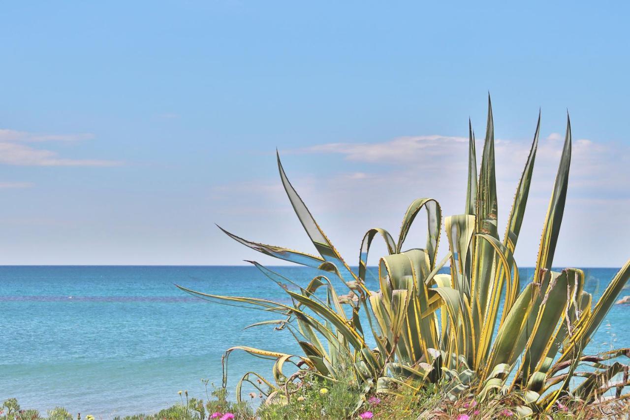 Holiday Home Arzilli Follonica Dış mekan fotoğraf