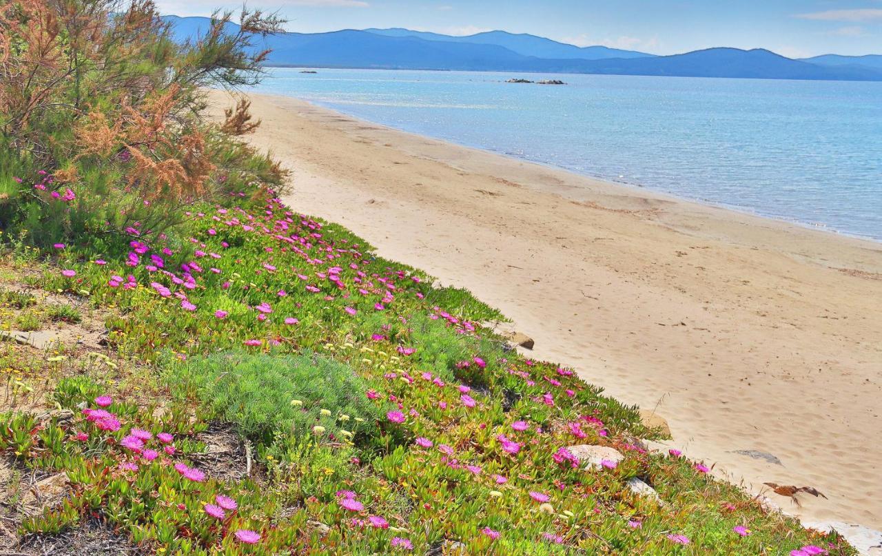 Holiday Home Arzilli Follonica Dış mekan fotoğraf