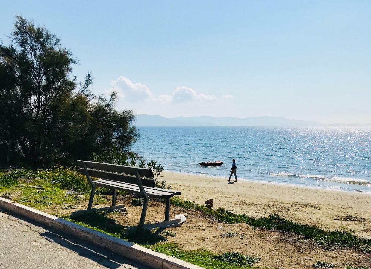 Holiday Home Arzilli Follonica Dış mekan fotoğraf